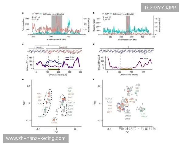 武汉飞盘队力量表现分析:数据揭示团队优势与潜力的深度研究 武汉飞盘队力量表现分析:数据揭示团队优势与潜力的深度研究