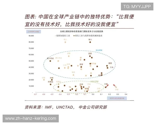 重庆羽毛球队战术解析与对比探讨全面解读其比赛策略与风格
